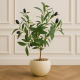 Artificial Plant